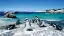 6847_Kapstadt_boulders-beach_pinguine-placeholder